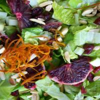Orange Romaine Salad image