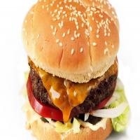 Sous Vide Burgers Recipe_image
