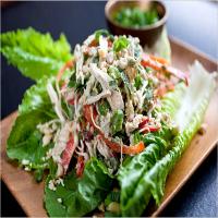 Indonesian-Style Chicken Salad_image