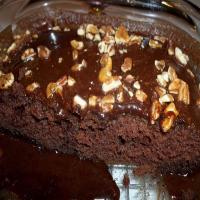 Buttermilk Cocoa Cake_image