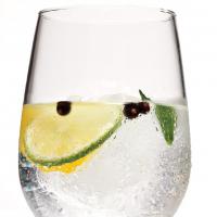 José's Gin & Tonic image