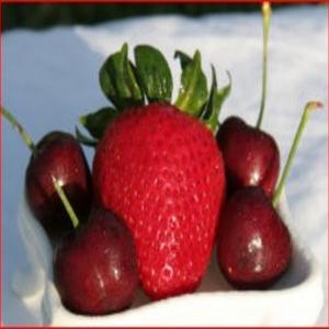 Ruby Fruit Compote_image