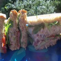 Salmon Club Sandwich image