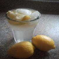 Lemon Shake-Up_image