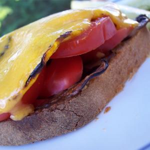 Vegetarian Open Faced Sandwich_image