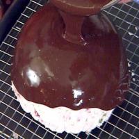 Chocolate Cherry Bombe image