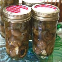 Home-Canned Marinated Mushrooms image
