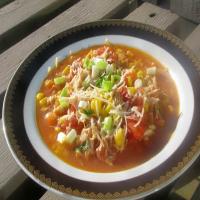 Rustic Stew with Chicken & Corn_image