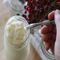 How to Make Yogurt in a Dehydrator_image