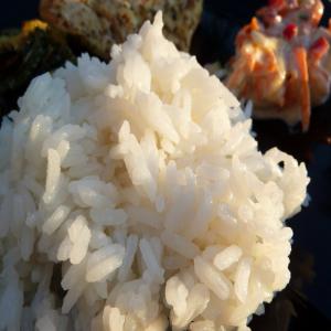 Coconut Rice_image