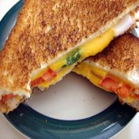 Spicy Grilled Cheese Sandwich image