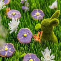 Pansy Cookies image