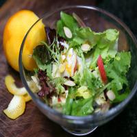 Apple, Cranberry and Goat Cheese Salad_image