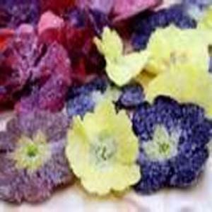 homemade crystalized flowers_image