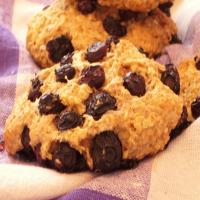 Blueberry Oat Cookies_image