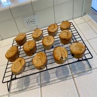 Lemon-Blueberry Protein Muffins image