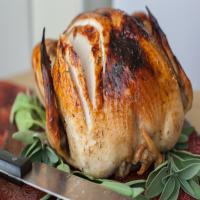 Maple Roast Turkey image