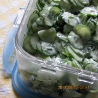 Scandinavian Cucumber Salad Recipe image