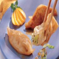 Vegetable Pot Stickers_image