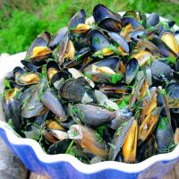 Ahoy There! Moules Marinières - French Sailor's Mussels_image