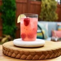 Raspberry-Lime Gin and Tonic_image