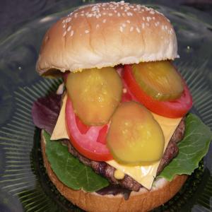 The Best Hamburgers Ever_image