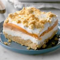 Butterscotch Pudding Torte_image