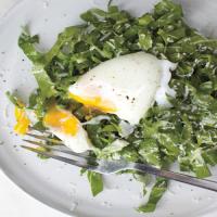 Swiss Chard with Poached Egg Salad_image