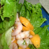 Papaya Shrimp Lettuce Wraps image