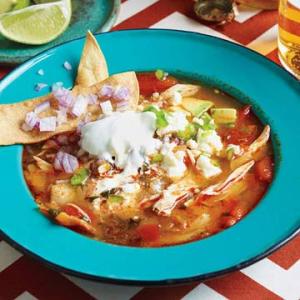 Jane Foxs Famous Tortilla Soup Recipe - (4.6/5)_image