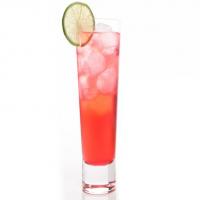 Cranberry Vodka Tonics_image