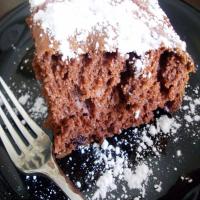 Chocolate Chip Snack Cake_image