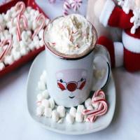 Santa's Hot Cocoa Mix image