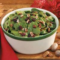 Cranberry Spinach Salad image