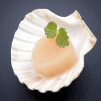 Taylor Bay Scallops with Uni & Mustard Oil_image