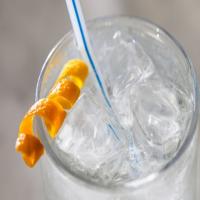 Gin and Tonic With Bitters and Orange_image