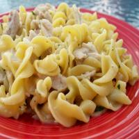 Delicious Pork and Noodles_image