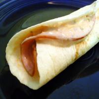 Salsa Wraps (Sandwich or Appetizer)_image