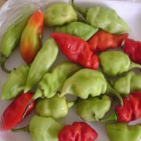 Trinidad Pepper Quiche_image