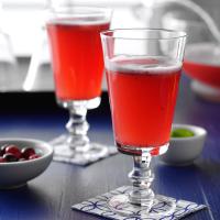 Christmas Cranberry Punch image