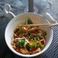 Grilled Chicken Satay Salad_image