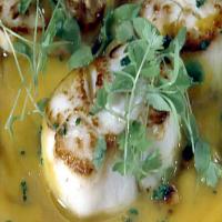 Seared Scallops with Pumpkin Broth and Roasted Hazelnuts_image