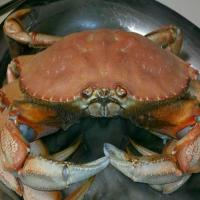 Dungeness Crab Boil_image