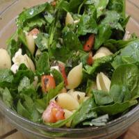 Caprese Spinach Pasta Salad_image