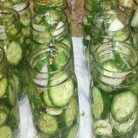 Small-Batch Refrigerator Dill Pickles_image
