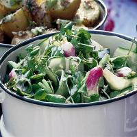 Crunchy watercress, cucumber & radish salad image
