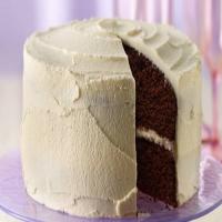 Delicious Chocolate Cake with White Frosting_image