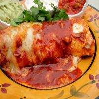 Chicken and Refried Bean Enchiladas image