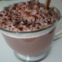 The Great Montezuma's Favorite Hot Chocolate Drink_image