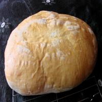 Elaine's Most Excellent Sandwich Bread_image